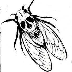 Meet your Posher, Nathan